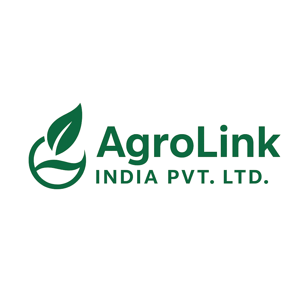 Generic H2 (Embedded) Logo