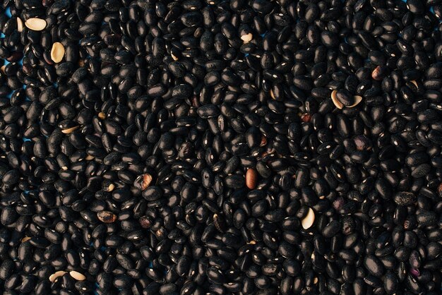 Black matpe 1200 mt