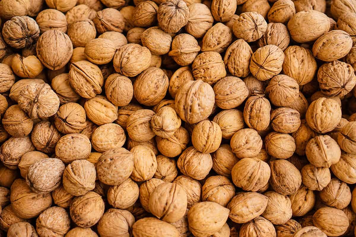 We are looking for large size walnuts in shell