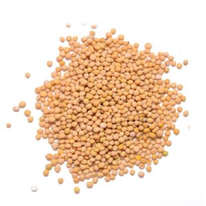 Premium garlic powder, onion powder, spice blends.