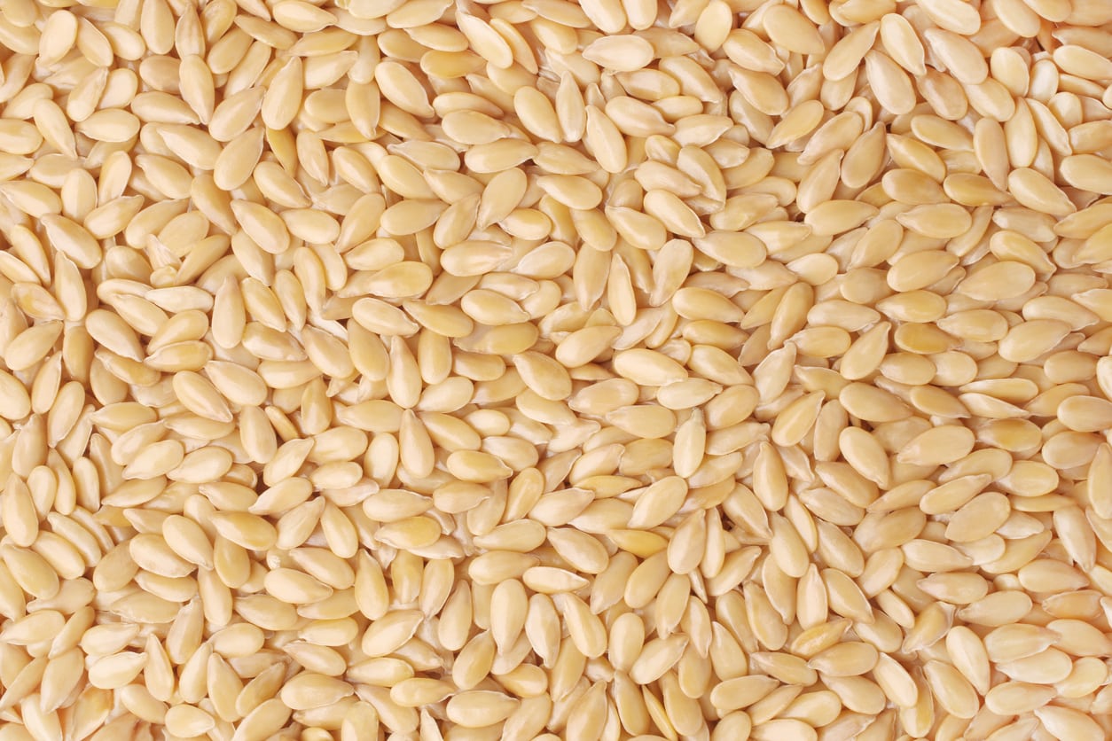 Sunflower seeds 1500 MT