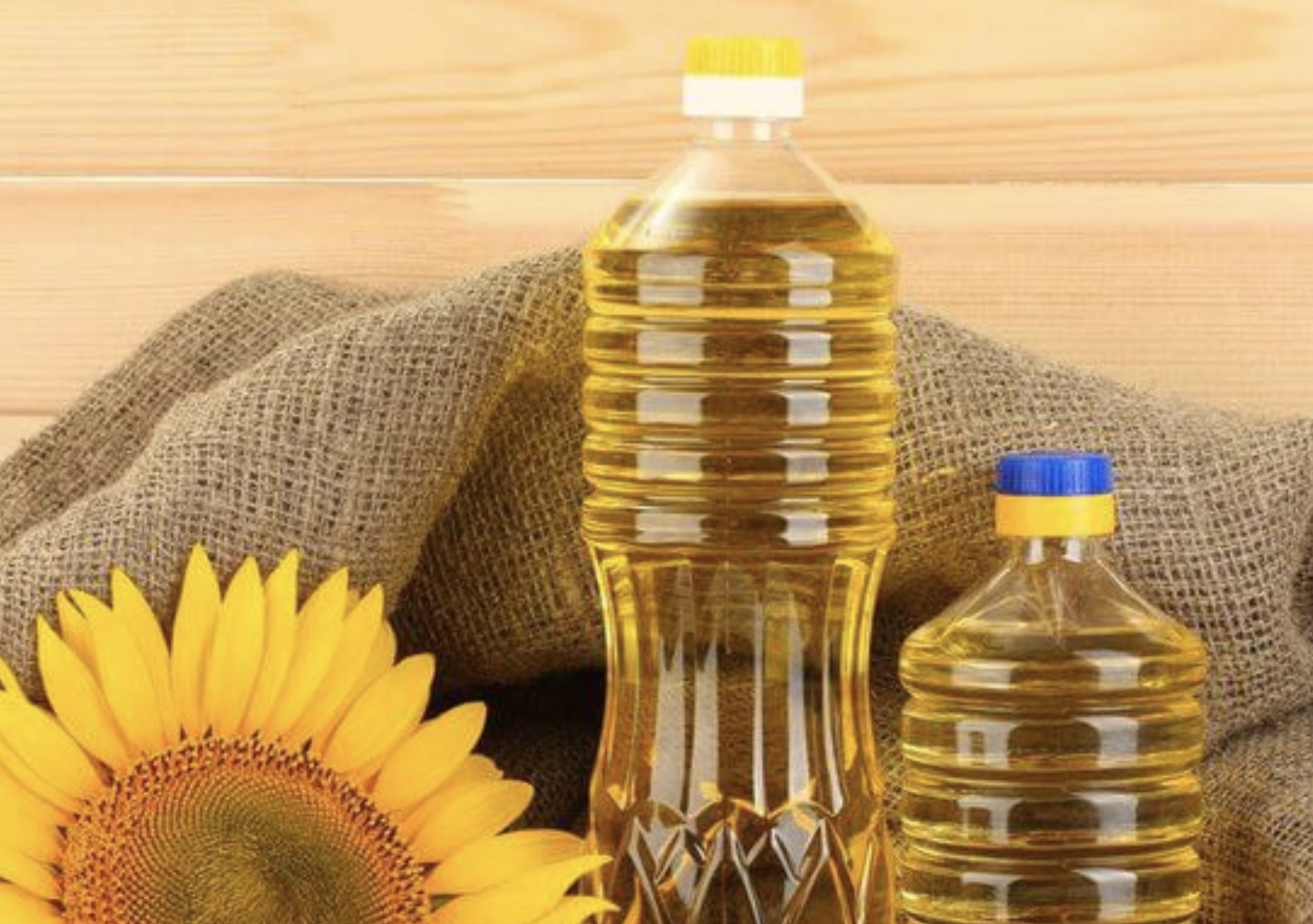 Sunflower oil 500 MT